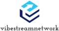 vibestreamnetwork